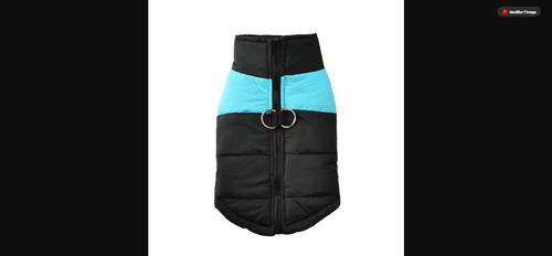 Manteau d'Hiver Imperméable pour Chien