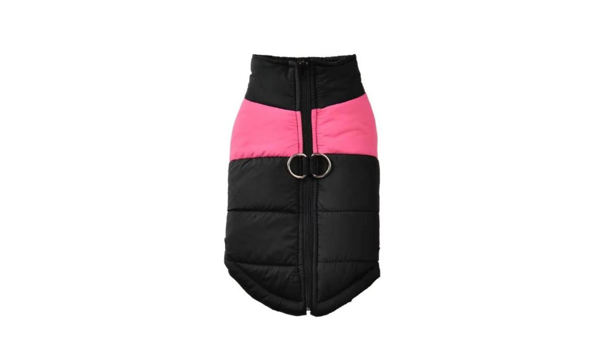 Manteau d'Hiver Imperméable pour Chien