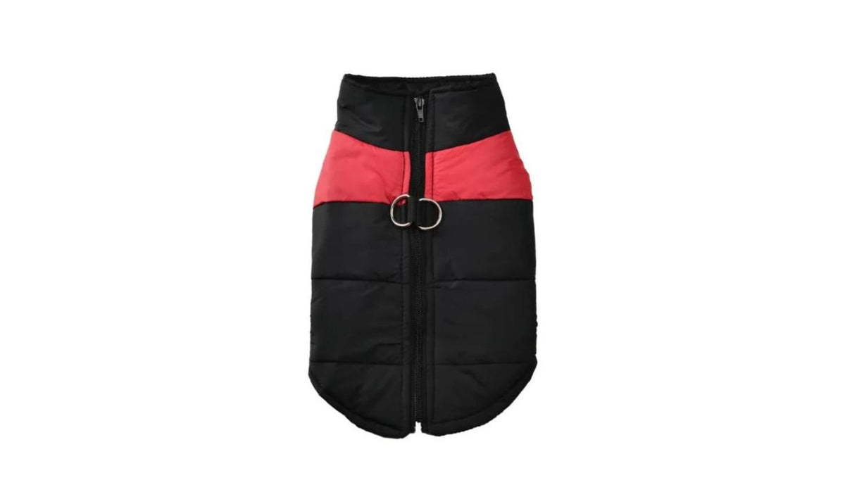 Manteau d'Hiver Imperméable pour Chien