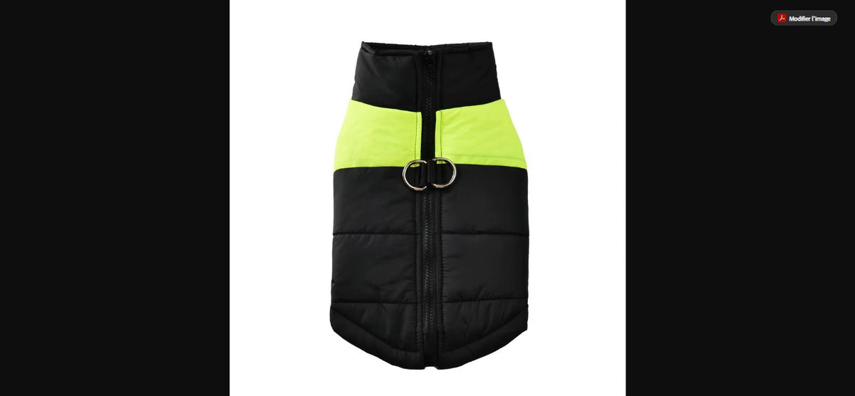 Manteau d'Hiver Imperméable pour Chien